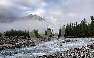 Foggy morning on river Shumak Stock Photo