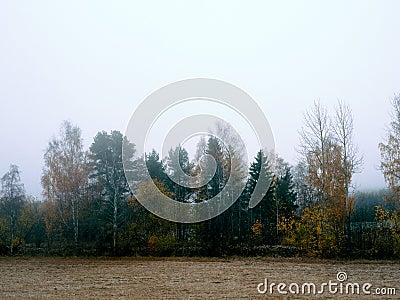 Foggy morning of the rural Toten, Norway. Stock Photo