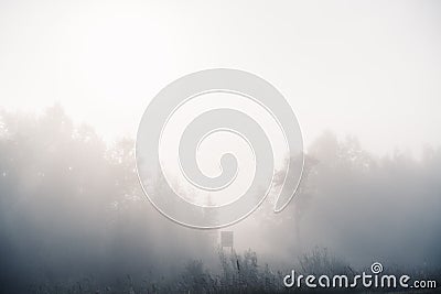 Trees in a heavy fog in the morning Stock Photo