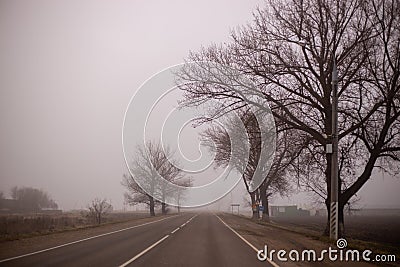 foggy morning on a winter day in the countryside, bare trees on the side of the road, dramatic mysterious mood Stock Photo