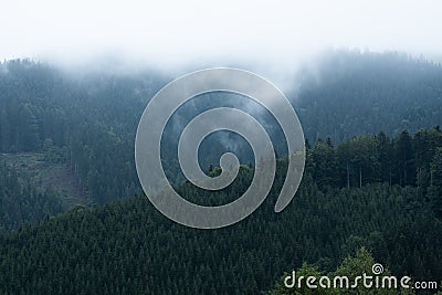Foggy mountain and forest landscape with the best mystic atmosphere. Stock Photo