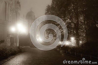 Foggy night in the park Stock Photo