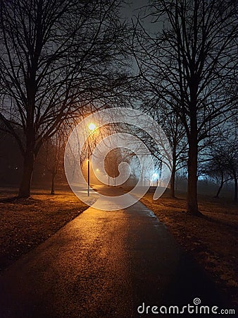 Foggy Rainy Winter Evening Stock Photo