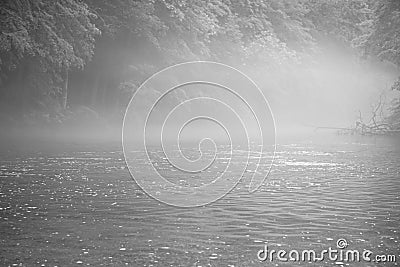 Foggy river in black and white Stock Photo