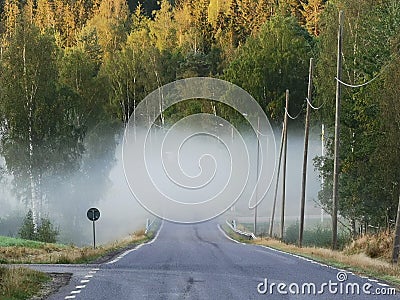 Foggy road, danger ahead Stock Photo