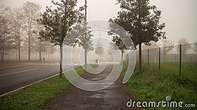 Foggy street scene Stock Photo