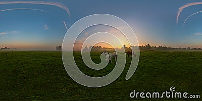 Foggy sunrise on meadow spherical panorama Stock Photo