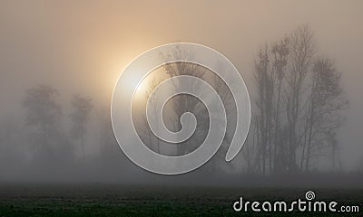 Foggy sunrise at Paar river in autumn Stock Photo