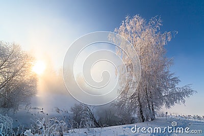 Foggy winter riverside at morning with sun shine between birch trees - horizontal frame Stock Photo