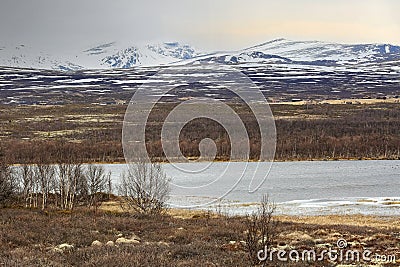 Fokstumyra nature reserve, Norway Stock Photo