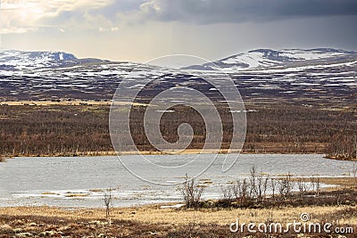 Fokstumyra nature reserve, Norway Stock Photo