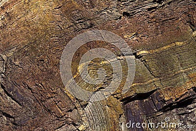 Folded chert layers at Rainbow Rock, Oregon Stock Photo