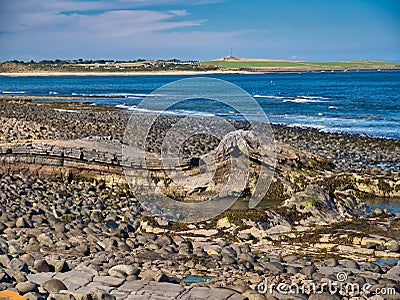 The folded rock strata of Greymare Rock on the Northumberland coast, near Dunstanburgh Castle. Stock Photo