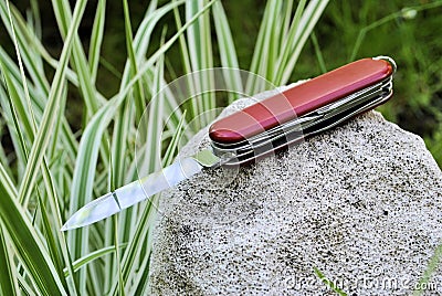 Folding knife stainless steel blade red handle green leaves gray stone nature still life background Stock Photo