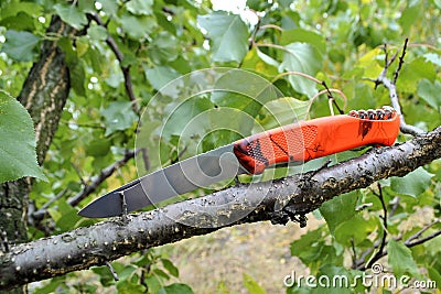 Folding knife stainless steel sharp blade orange handle green leaves background Stock Photo