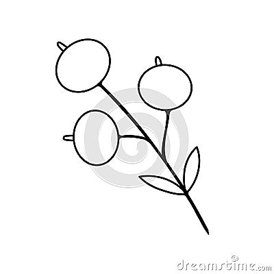 Foliage berry branch floral icon. Hand drawn Botanical vector illustration Cartoon Illustration