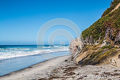 Foliage on Cliff at Beacons`s Beach in Encinitas, California Stock Photo