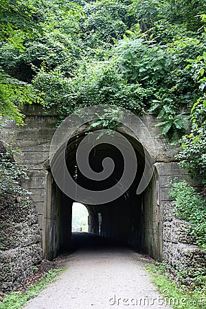 Foliage Covered Tunnel Stock Photo