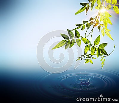 Foliage and drops falling in water Stock Photo
