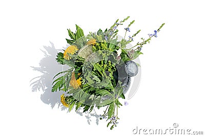 Medicinal herbs stand in mortar on white isolated background Stock Photo