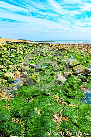 Folkestone beach at low tide England Stock Photo