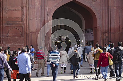 Follow the leader Editorial Stock Photo