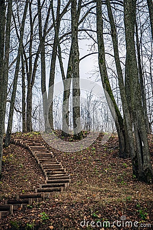 Follow the path wooden path and stairs lead up in to the woods on a sunny day in autumn Stock Photo