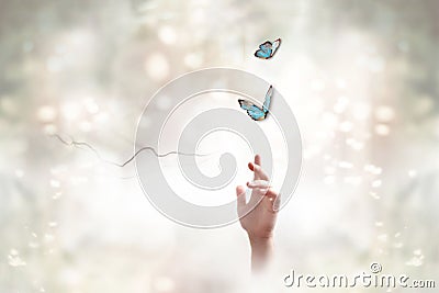 Follow your dreams and freedom concept. Stock Photo