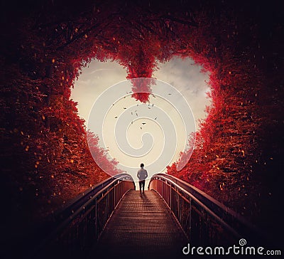 Follow your heart concept. A lone person lost in the autumn forest, found the way out of the woods, as walks a path through the Stock Photo