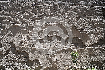 Weathered texture wall surface background. Brush painted surface with crack Stock Photo