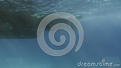 Fondo della nave sotto acqua I motori accendono e le viti dell'elica cominciano a girare La barca si avvi muoversi E stock footage Fondo della nave sotto acqua I motori accendono e le viti dell'elica cominciano a girare La barca si avvi muoversi E stock footage