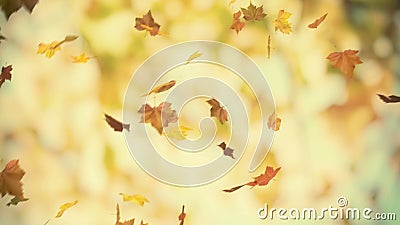 Fondo di autunno Fondo di autunno