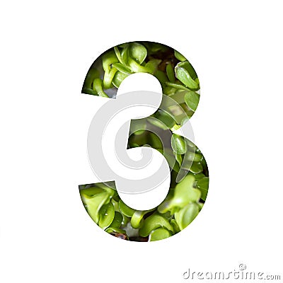 Font on micro greenery. The digit three, 3 cut out of paper on the background of sprouts of fresh bright micro greenery for food. Stock Photo