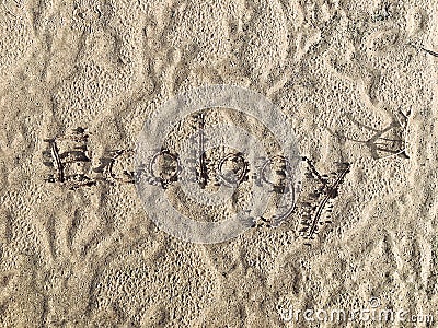 Font wrote 'ecology' on the sand Stock Photo