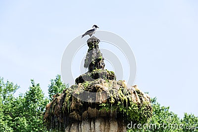 One of fontains in Villa Doria Pamphili Stock Photo