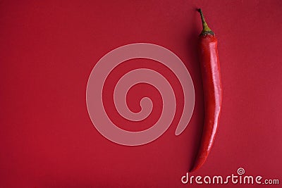 Food background flat lay. Red hot chili pepper on red background from above. Minimal creative still life with mexican spicy Stock Photo