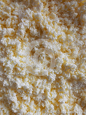 Layer of nonfat cottage cheese closeup Stock Photo