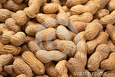 Food background of peanuts in shell, top view. Heap of fresh peanuts Stock Photo