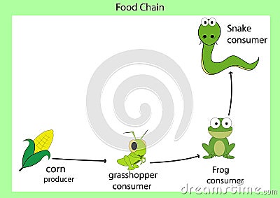 food chain Stock Photo