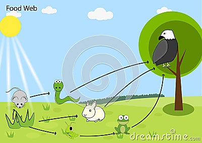 Food chain Stock Photo