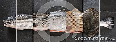 Food collage of various fresh fish, white fish pangasius, salmon red fish, trout, dorado, carp, flounder on dark stone background Stock Photo
