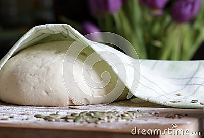 Homemade yeast dough. Stock Photo