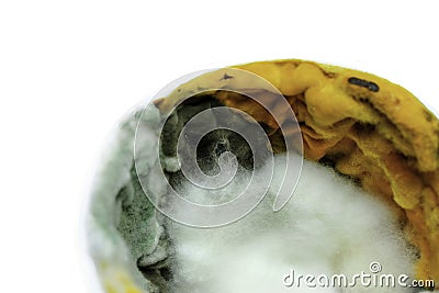 Food contaminated with mold. Mold on the yogurt Stock Photo