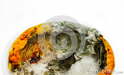 Food contaminated with mold. Mold on the yogurt Stock Photo