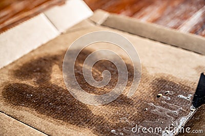 Food contaminated nonrecyclable cardboard pizza box Stock Photo