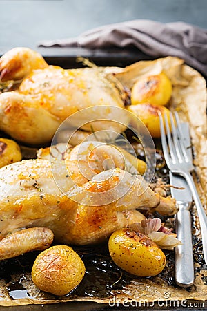 Food and drink, holidays eating dinner concept. Roasted chicken poussin with spices, herbs, garlic and small potatoes on a kitchen Stock Photo