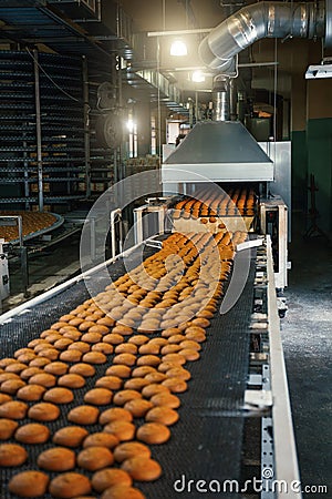 Food factory, production line or conveyor belt with fresh baked cookies. Modern automated confectionery and bakery Stock Photo