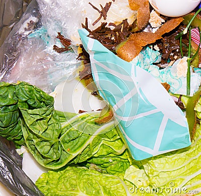 The food Garbage. Stock Photo