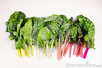 Food gradient of organic rainbow chard: spray-free leafy greens Stock Photo