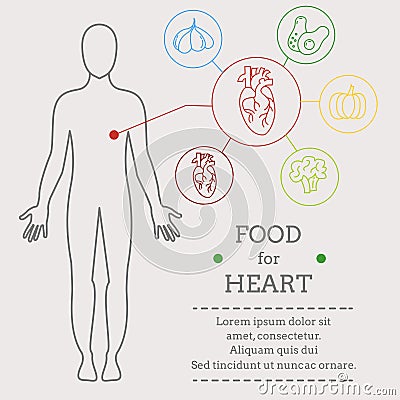 Food for heart Vector Illustration